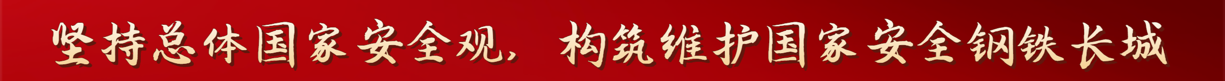 堅持總體國家安全觀，構筑維護國家安全鋼鐵長城